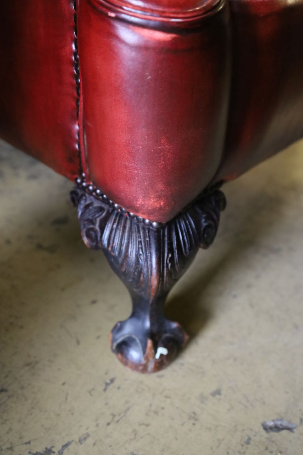 An early 20th century wing back armchair upholstered in burgundy leather on carved claw and ball feet, width 80cm, depth 82cm, height 1